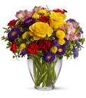 Brighten The  Day